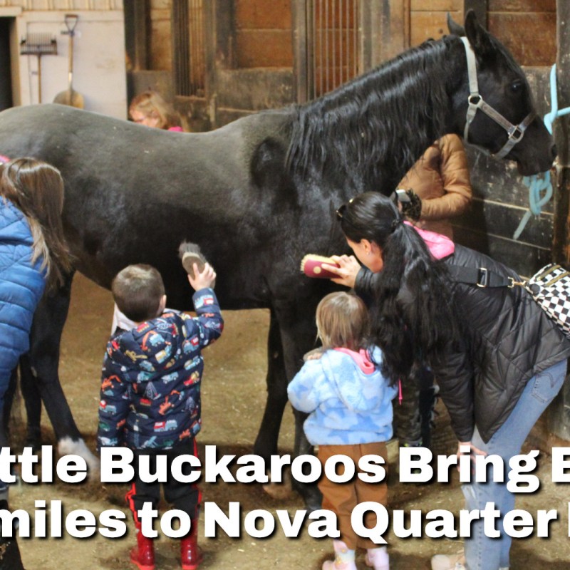 Little Buckaroos Bring Big Smiles to Nova Quarter&nbsp;Horses