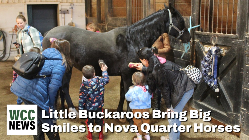 Little Buckaroos Bring Big Smiles to Nova Quarter&nbsp;Horses